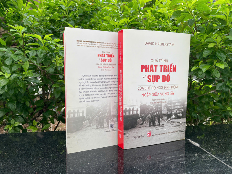 Quá trình phát triển và sụp đổ của chế độ Ngô Đình Diệm - Ngập...