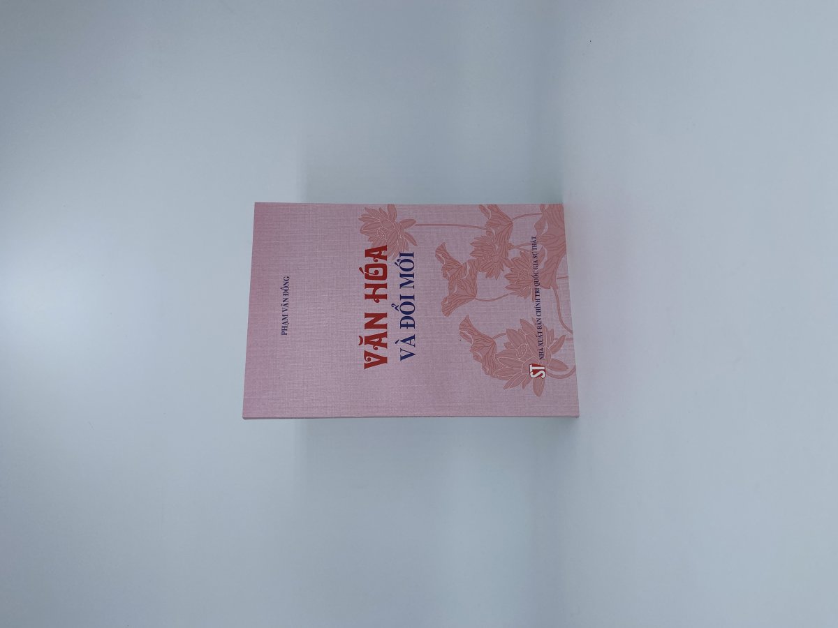 Văn hoá và đổi mới