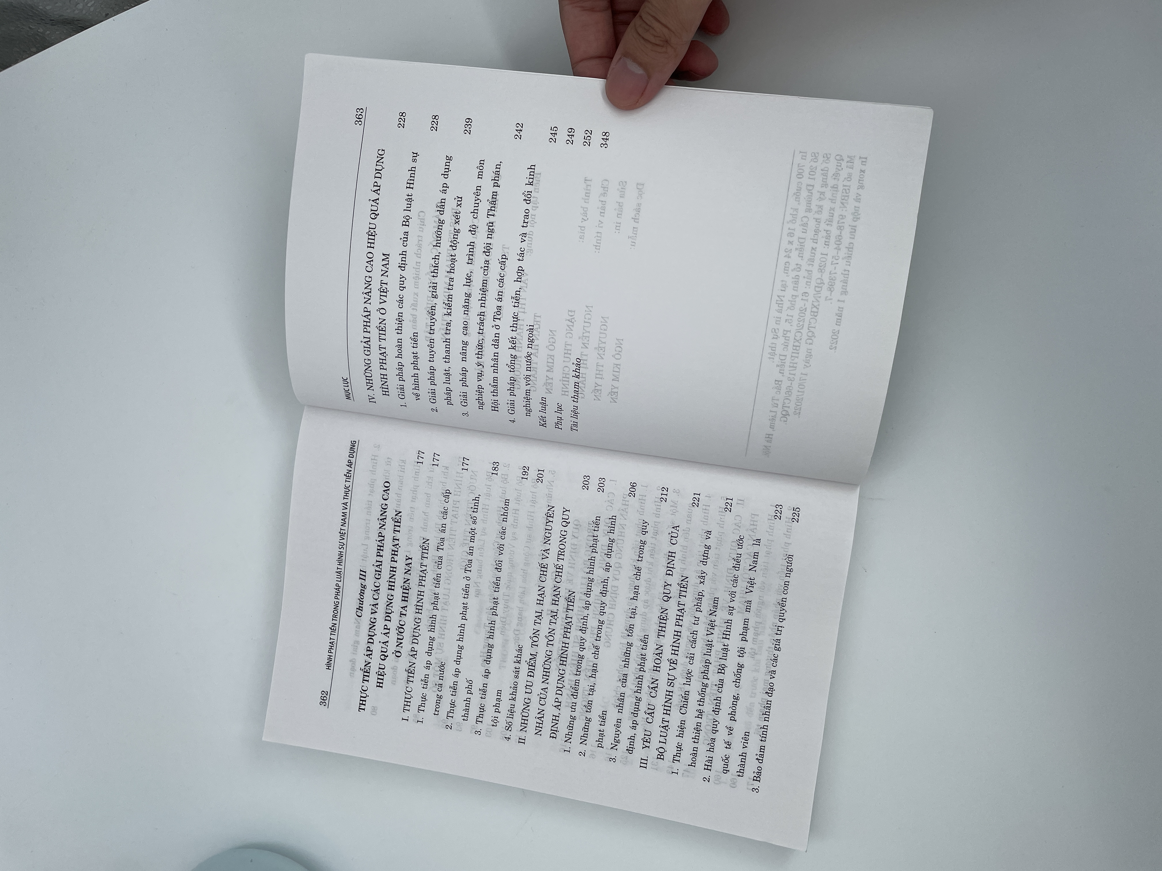 Hình phạt tiền trong pháp luật hình sự Việt Nam và thực tiễn áp dụng (Sách chuyên khảo)