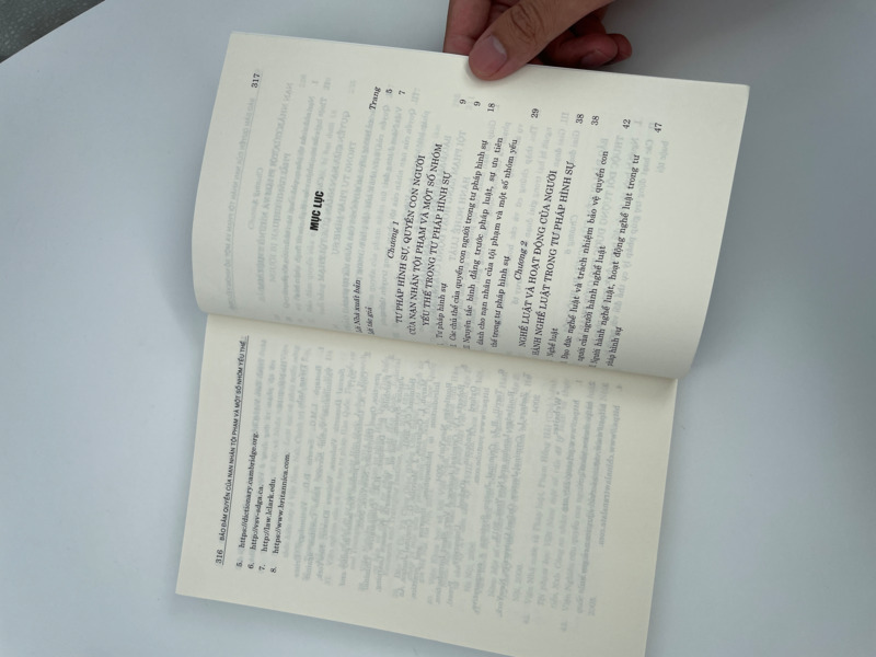 Bảo đảm quyền của nạn nhân và một số nhóm yếu thế trong tư pháp hình sự từ quy định của pháp luật đến hoạt động  của người hành nghề luật